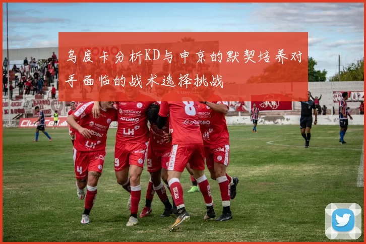 乌度卡分析KD与申京的默契培养对手面临的战术选择挑战